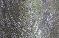 Nant Y Moel fibreglass roof work